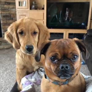 Meet your Posher, Dana